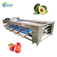 Sorteermachine voor Shepody Blueberry mango's, Cherry Tomaten, Uien, Fruit, Appels, Citrusvruchten, Avocado's en ander fruit.