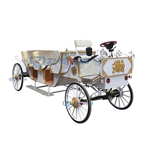 Carroza turística Royal Cinderella económica, personalizable con carroza turística eléctrica y toldo de lujo. - Product Image 2