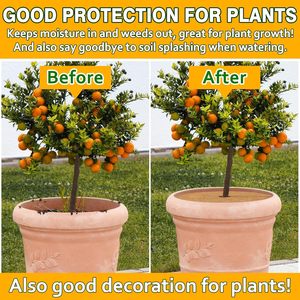 Anello di pacciame in fibra di cocco 24 pollici Coco cocco anello <span class=keywords><strong>albero</strong></span> pacciame <span class=keywords><strong>tappetino</strong></span> 100% protezione naturale <span class=keywords><strong>albero</strong></span> <span class=keywords><strong>tappetino</strong></span> copertura <span class=keywords><strong>per</strong></span> piante - Product Image 5