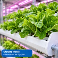 Serre intelligente avec systèmes hydroponiques et de fertigation pour la culture toute l'année de fleurs, de plantes ornementales et d'herbes