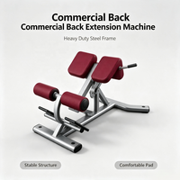 Banc de musculation robuste en acier pour l'extension dorsale, équipement de fitness commercial, machine d'entraînement du bas du dos pour la salle de sport et l'entraînement à domicile