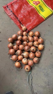 <span class=keywords><strong>Oignon</strong></span> rouge frais de qualité supérieure, Shandong, emballage en filet, nouvelle récolte à l'exportation, haute qualité, prix de gros inférieur, fournisseur chinois - Product Image 6