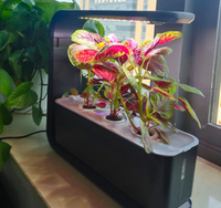 Fantastique qualité jardin puce intérieure Automatisé Starter Kit maison jardin hydroponique Avec La Lumière