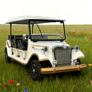 Auto Turístico Eléctrico Clásico Retro Ecológico con Color Personalizado, 5 Pasajeros, 2 Años de Garantía - Product Image 1