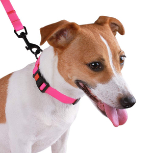 Nibao plana colorido resistente al desgarro de PVC recubierto de poliéster de <span class=keywords><strong>Nylon</strong></span> básico Collar para perro mascota suministros - Product Image 6