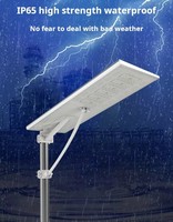 Lampadaire solaire de vente chaude avec capteur de mouvement grande cour puissante de haute qualité Led 20 Watt 60w