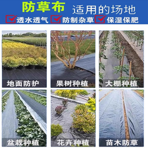 6666 Weed Control Fabric 3m Width Heavy Duty Black Mulch Film For Garden Ground Cover - Product Image 3
