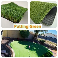 10mm 15mm intérieur/extérieur Mini terrain de golf tapis tapis gazon synthétique écologique gazon artificiel putting green arrière-cour/jardin