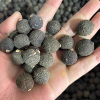 Buah Jeruk Pahit Muda Kering Alami Zhi Shi (Fructus Aurantii Immaturus) Teh Kesehatan Kemasan Besar
