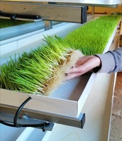 Serre Commerciale Intérieure Végétale Culture Verticale Commerciale Aéroponie Fourrage Système Hydroponique Pot Net Canal Nft Pvc Bac À Herbe Micro-Verte Gouttière