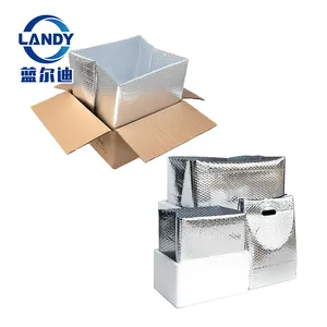 Bộ Hộp Vận Chuyển Bọt Cách Điện Với Hộp Lượn Sóng-8X6X9 ", Hộp Xốp Cách Nhiệt Bọt