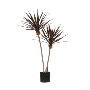 Plantas artificiales de árbol de hoja perenne ornamentales de tacto real de alta calidad y árboles Dracaena Tree - Product Image 1