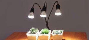 Nouvelle lampe <span class=keywords><strong>LED</strong></span> à pince à spectre complet pour plantes succulentes, <span class=keywords><strong>semis</strong></span>, éclairage de croissance des plantes, lampes de culture - Product Image 5