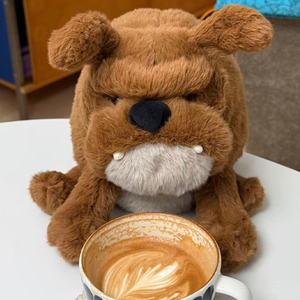 Peluche Super Morbido Jelly Ca Derek Dog Bullies e Bulldog per Bambini, Regalo Rilassante, Compagno Divertente, Ornamento per la Stanza, Bambola - Product Image 2