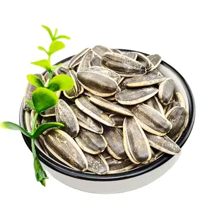 Inner Mongolia Sunflower Seeds Direct Selling Healthy Food Sunflower Seeds