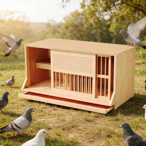 Cage à pigeons de haute qualité en bois massif avec nichoir, cage à pigeons avec loft complémentaire, <span class=keywords><strong>plateau</strong></span> à œufs, fournitures pour oiseaux - Product Image 1
