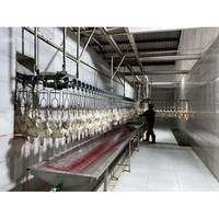 Ligne d'abattage avicole automatique à prix de gros - Direct usine avec support de conception personnalisée