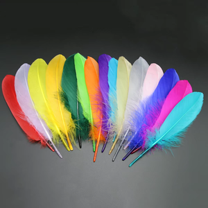 Plumes d'oie en vrac, nettoyées et désinfectées, pour masques de carnaval, design de mode et bijoux DIY - Product Image 1