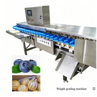 Automatische aardbeien- en citrus sorteermachine voor fruitverwerkingsbedrijven