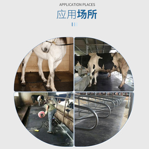 Aangepaste Duurzame Anti-Slip Epdm Paard Rubber Matten Stallen Vloeren Buiten Paarden Rubber Matten Voor Stallen Paardensport Faciliteiten - Product Image 6