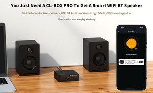 Receptor de Audio Estéreo HiFi Multi-habitación con Airplay, WiFi 5.4, Bluetooth, Mini Reproductor de Música, Transmisión con Óptica e Auxiliar - Product Image 6