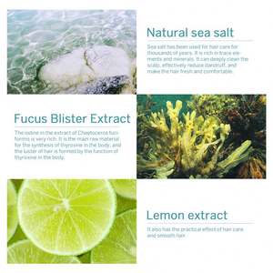 Champú <span class=keywords><strong>de</strong></span> Sal Marina Natural ELAIMEI, Nutritivo, Controla la Grasa del Cuero Cabelludo, Repara Profundamente el <span class=keywords><strong>Cabello</strong></span>, Suaviza y Limpia - Product Image 3