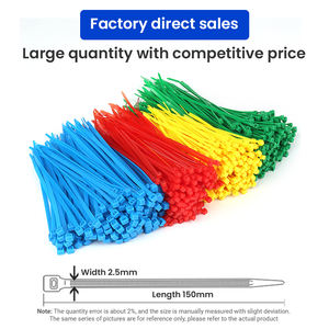 Meilleur prix 2.5x100mm attaches de câble attaches de câble en nylon autobloquantes attaches à glissière en plastique robustes enveloppes ne se cassent jamais - Product Image 2