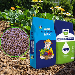 <span class=keywords><strong>Engrais</strong></span> NPK haute efficacité agricole soluble dans l'eau sacs de 20kg - Product Image 1