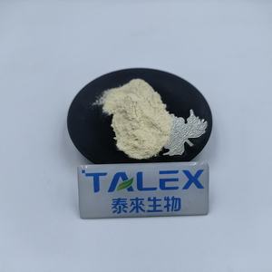 Poudre d'extrait d'ananas en gros à prix réduit, 2400 GDU, enzyme bromélaïne - Product Image 2