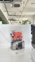 Professionele commerciële automatische sinaasappelpers-automaat met motor en hoge productiviteit