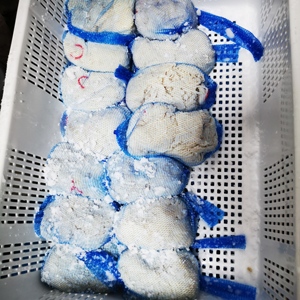 Boyaux de <span class=keywords><strong>saucisse</strong></span> de mouton naturels en vrac goût salé pour adultes et enfants - Product Image 3