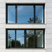 Fenêtre fixe en aluminium à rupture de pont thermique de haute qualité, fabriquée en Chine, avec verre Low-E, sur mesure pour les projets de villas mondiales