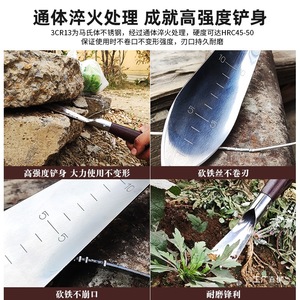 Stainless Steel Small Hand Shovel Ch06 Garden Digging Tool With Wooden Handle For <b>Weeding</b> And Soil Loosening - Product Image 4