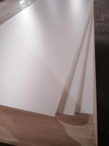 1220*2440*12mm 15mm 18mm mélamine contreplaqué pointillé <span class=keywords><strong>blanc</strong></span> laminé <span class=keywords><strong>feuille</strong></span> <span class=keywords><strong>de</strong></span> contreplaqué pour Phipippines - Product Image 6