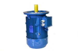Motor de Inducción Trifásico Pequeño de 2kw y 2.4kw CA con Velocidad Variable - Product Image 2