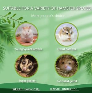Petit <span class=keywords><strong>hamster</strong></span> labyrinthe bois maison amusante toboggan maison cabane à deux étages pour gerbille naine souris souris rat petits animaux - Product Image 4