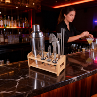 Shaker à cocktails multifonctionnel en acier inoxydable résistant à la corrosion, ensemble de bar 10 pièces, mélangeur à vin, kit de barman avec support de présentation