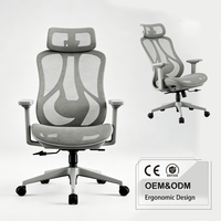 Chaise de bureau ergonomique avec accoudoirs 3D, coussin en mousse moulée, chaise de travail réglable en maille pour bureau à domicile, salon, base pivotante 5 étoiles