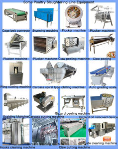 Nouveau Type bon marché prix abattoir carcasse découpeuse machines de traitement de la viande équipement de boucher pour équipement de volaille - Product Image 6