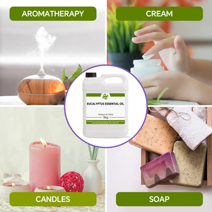 Atacado Eco-friendly Óleo De Eucalipto 100% Puro Natural Óleo Essencial De Eucalipto Atacado Bulk <span class=keywords><strong>Eucalyptus</strong></span> <span class=keywords><strong>Oil</strong></span> Fornecedor - Product Image 3
