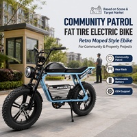 Vélo électrique tout-terrain Community Patrol style cyclomoteur rétro avec porte-bagages arrière et batterie amovible pour acheteurs de projets, fournisseur OEM