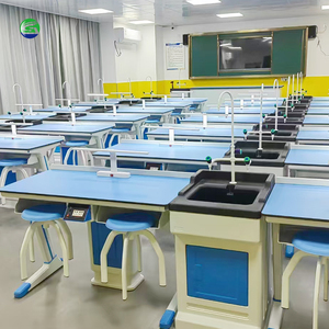 Nouveau modèle de table de travail de laboratoire pour l'enseignement scolaire, économique, pour la physique des étudiants, mobilier de laboratoire - Product Image 4