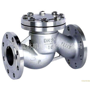 Válvula de Retención de Brida de Acero Inoxidable ASME, Válvula de Retención de Acero al Carbono JIS, Válvula de Retención Estándar DIN SCS13 para Petróleo y Gas - Product Image 2