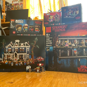 The Creel House Stranger Things Blocs de construction Botanicals LE GO Block Sets Castle Wholesale Hot Plant Series Bucket Toy Gift - Product Image 4