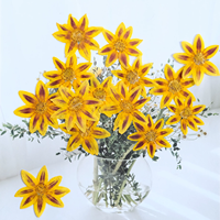 Bingkai Bunga Taman Cosmos Kerajinan Tangan Scrapbooking Resin Epoksi Tanaman Alami Ramah Lingkungan