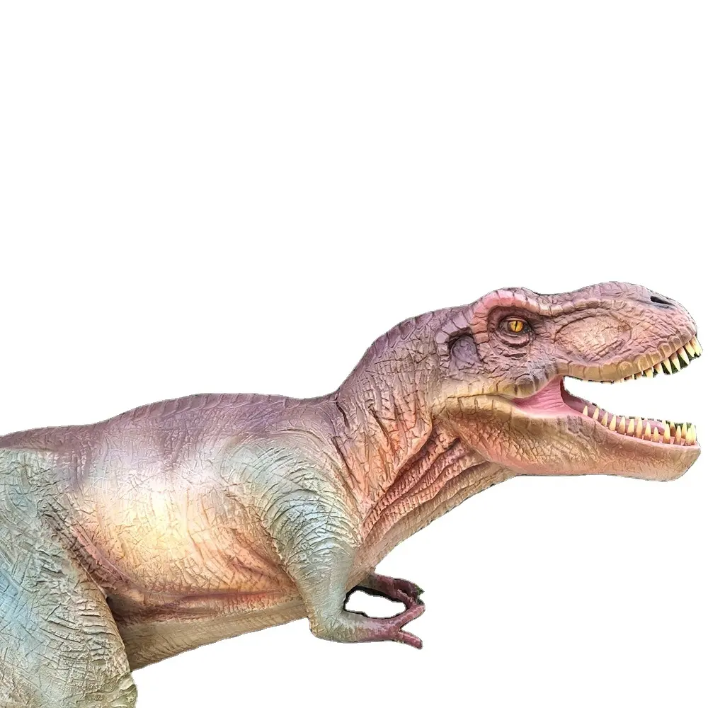 Jurassic Park <span class=keywords><strong>ไดโนเสาร์มีชีวิตอยู่</strong></span>จริงจัดแสดงผลิตภัณฑ์สวนสนุกอื่นๆรุ่น T-Rex สำหรับขาย