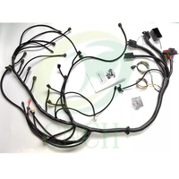 CNCH GM 6.0L Engine Wiring Harness Drive par câble-CNCH Custom After Market ECU Harnais Motec Fueltech Link X