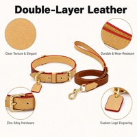 Ensemble collier et laisse réglables en cuir pour chien et chat, avec logo gravé personnalisé, étiquette d'identification anti-perte, ceinture de traction tendance pour animaux de compagnie, toutes saisons