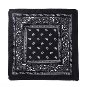 <span class=keywords><strong>Lot</strong></span> en gros de bandanas en coton Paisley 75 g/m² à prix réduit pour la promotion – Foulard carré Paisley Hip Hop - Product Image 3