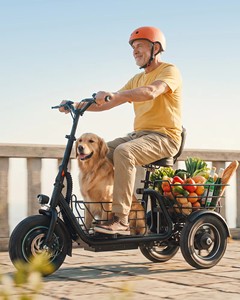 Tricycles électriques très demandés pour adultes – Vélo électrique avec capacités de transport de marchandises et de passagers pour les trajets urbains – C-Best Gyroor Iron Ebi - Product Image 4